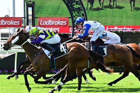 australia race cards